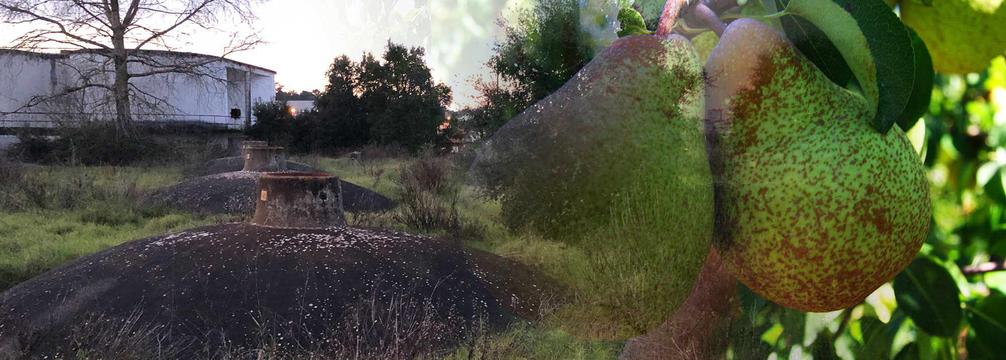 Slide3 Background